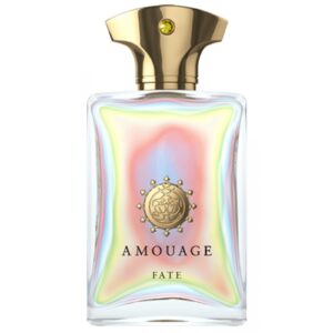 AMOUAGE FATE MAN для мужчин flaconium.ru