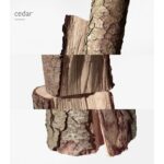 HERMES TERRE D’HERMES FLACON H 2021 EAU DE TOILETTE для мужчин flaconium.ru