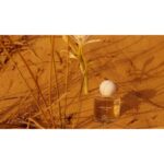 JO MALONE LONDON SEA DAFFODIL унисекс flaconium.ru