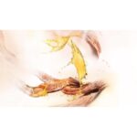 MONTALE AOUD LEGEND унисекс flaconium.ru