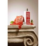 EAU D’ITALIE GRAINE DE JOIE для женщин flaconium.ru