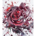 KEIKO MECHERI BAL DE ROSES унисекс flaconium.ru