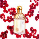 GUERLAIN AQUA ALLEGORIA GROSELLINA для женщин flaconium.ru