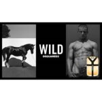 DSQUARED² WILD для мужчин flaconium.ru