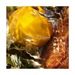 GUERLAIN AQUA ALLEGORIA FORTE OUD YUZU унисекс flaconium.ru