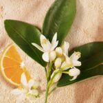 GOUTAL LE TEMPS DES REVES унисекс flaconium.ru