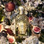 GUERLAIN AQUA ALLEGORIA FORTE NEROLIA VETIVER унисекс flaconium.ru
