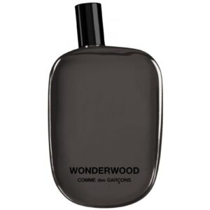 COMME DES GARCONS WONDERWOOD для мужчин flaconium.ru