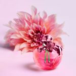 NINA RICCI NINA ILLUSION для женщин flaconium.ru