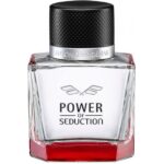 ANTONIO BANDERAS POWER OF SEDUCTION для мужчин flaconium.ru