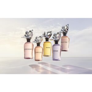 LOUIS VUITTON COSMIC CLOUD унисекс flaconium.ru