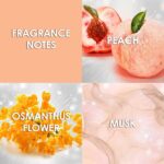 BRITNEY SPEARS FANTASY NAKED для женщин flaconium.ru