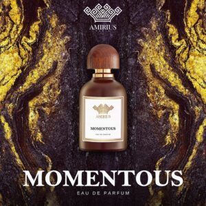 AMIRIUS MOMENTOUS унисекс flaconium.ru