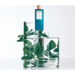 LOEWE LOEWE 7 COBALT для мужчин flaconium.ru