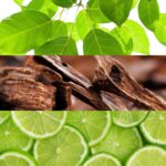 LACOSTE FRAGRANCES LACOSTE L!IVE для мужчин flaconium.ru