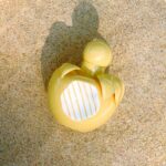 NINA RICCI NINA SOLEIL для женщин flaconium.ru