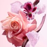 NARCISO RODRIGUEZ ALL OF ME для женщин flaconium.ru