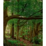 KEIKO MECHERI PRECIOUS FOREST унисекс flaconium.ru