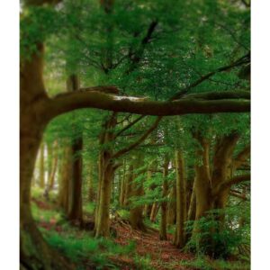 KEIKO MECHERI PRECIOUS FOREST унисекс flaconium.ru