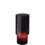 TRUSSARDI PRIMO для мужчин flaconium.ru