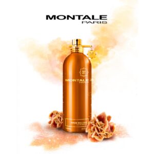 MONTALE AOUD MELODY унисекс flaconium.ru