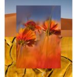 AQUALIS NAMAQUALAND унисекс flaconium.ru