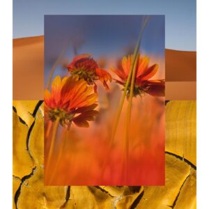 AQUALIS NAMAQUALAND унисекс flaconium.ru