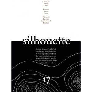 VERTUS SILHOUETTE унисекс flaconium.ru