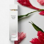 ELIZABETH ARDEN WHITE TEA GINGER LILY для женщин flaconium.ru