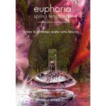 CALVIN KLEIN EUPHORIA SPRING TEMPTATION для женщин flaconium.ru