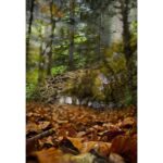 AMOUROUD SANTAL DES INDES унисекс flaconium.ru