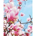 VERONIQUE GABAI READY FOR ROSE унисекс flaconium.ru