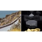 ALEX SIMONE TELLEMENT BLEU PARFUM ABSOLU унисекс flaconium.ru