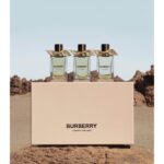 BURBERRY SNOW BLOSSOM унисекс flaconium.ru