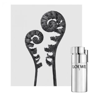 LOEWE LOEWE 7 PLATA для мужчин flaconium.ru