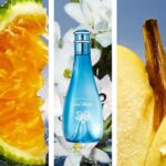 DAVIDOFF COOL WATER STREET FIGHTER CHAMPION SUMMER EDITION FOR HER для женщин flaconium.ru