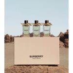 BURBERRY ASH FLOWER унисекс flaconium.ru