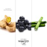 AZZARO WANTED GIRL TONIC для женщин flaconium.ru