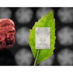 HERMETICA PATCHOULILIGHT унисекс flaconium.ru