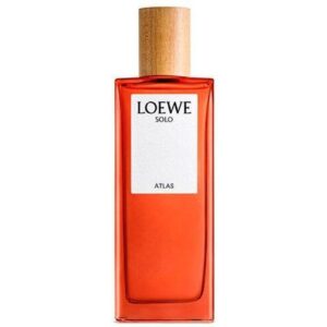 LOEWE SOLO ATLAS для мужчин flaconium.ru