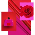 COSTUME NATIONAL SUPERGLOSS для женщин flaconium.ru