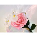 LOUIS VUITTON SPELL ON YOU для женщин flaconium.ru