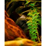 VERTUS BENGAL унисекс flaconium.ru