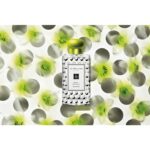 JO MALONE LONDON NASHI BLOSSOM унисекс flaconium.ru