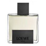 LOEWE LOEWE SOLO MERCURIO для мужчин flaconium.ru