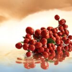 ESTEE LAUDER INFINITE SKY унисекс flaconium.ru