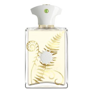AMOUAGE BRACKEN MAN для мужчин flaconium.ru