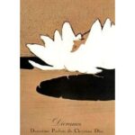 DIOR DIORAMA для женщин flaconium.ru