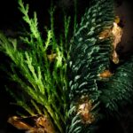 DIESEL SPIRIT OF THE BRAVE для мужчин flaconium.ru