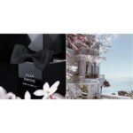 ALEX SIMONE VILLA SIMONE PARFUM ABSOLU унисекс flaconium.ru